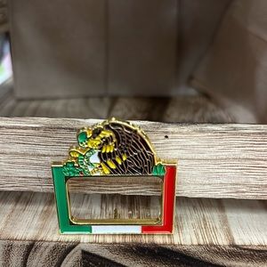 Vintage Mexican Flag 🇲🇽 colors with 🦅 & 🐛 image Hat Pin